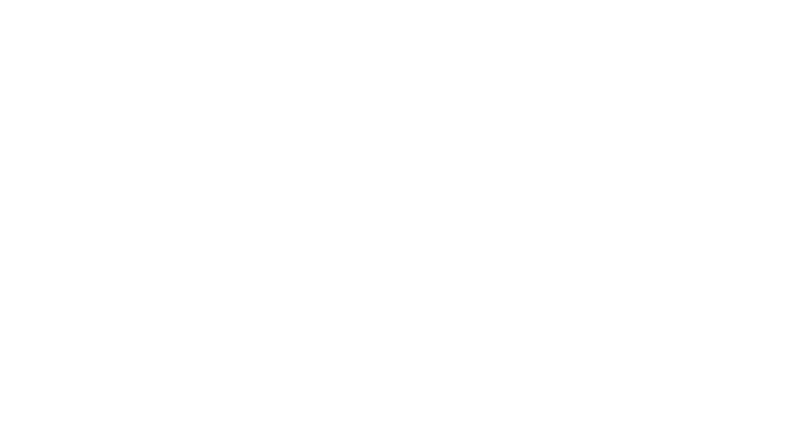 Brasserie Turone