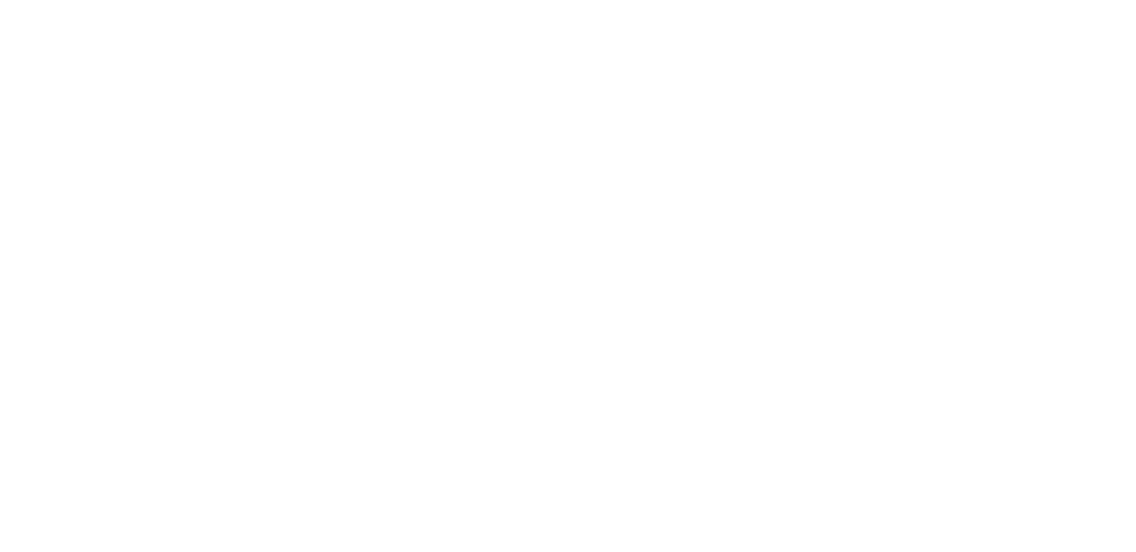 Logo Brasserie Turone